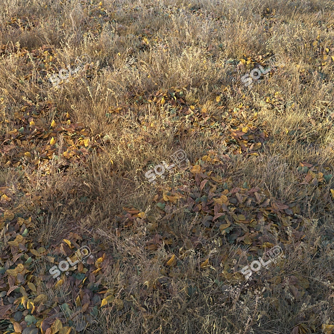 Autumn Fields Dry Grass 3D model image 3