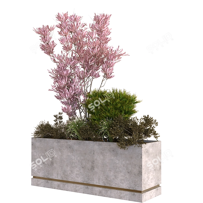 Vibrant Greenery Box Set 3D model image 1