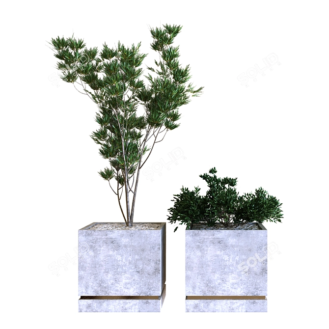  Greenery Delights: Plant Box Set 3D model image 2