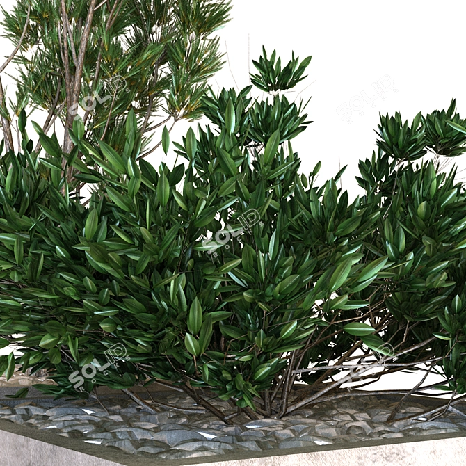  Greenery Delights: Plant Box Set 3D model image 3