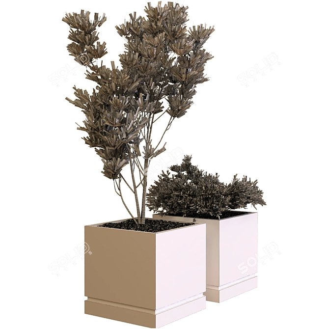  Greenery Delights: Plant Box Set 3D model image 4