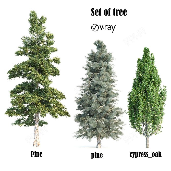 Growth Collection: Cypress Oak, Pine1, Pine2 3D model image 1