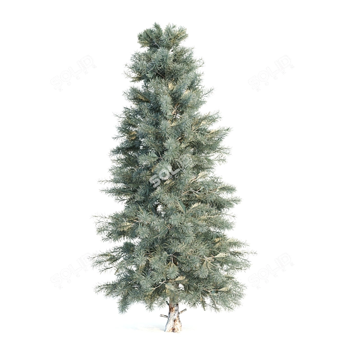 Growth Collection: Cypress Oak, Pine1, Pine2 3D model image 4