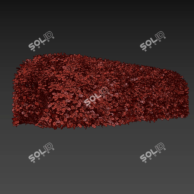 Birch-leaved Hedge Spirea Kit 3D model image 5