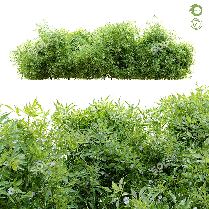 Flourishing Bush - 1.2m Height 3D model image 1