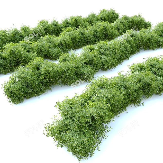 Flourishing Bush - 1.2m Height 3D model image 4