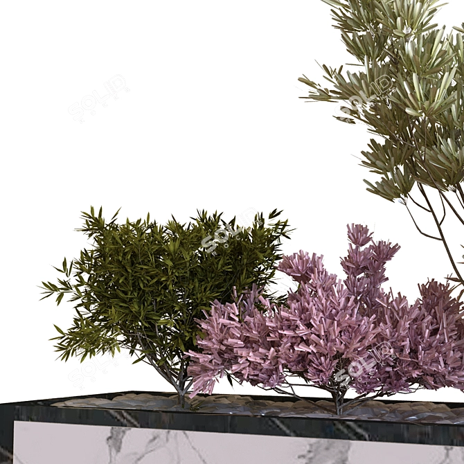 15-Piece Boxed Set of Plant Arrangement 3D model image 3