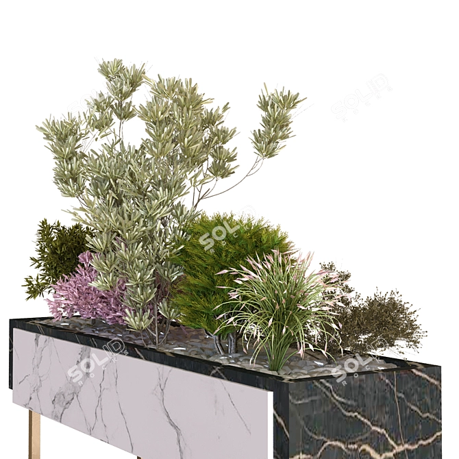 15-Piece Boxed Set of Plant Arrangement 3D model image 4