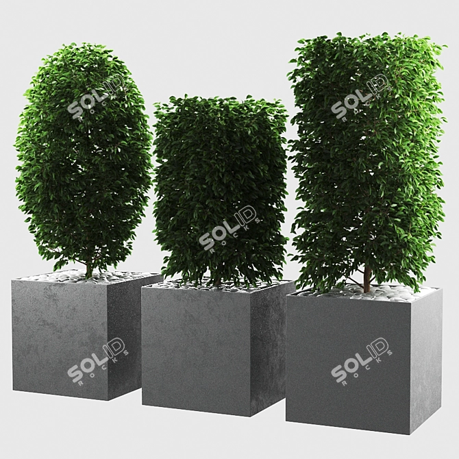 Verdant Vibration 3D model image 2