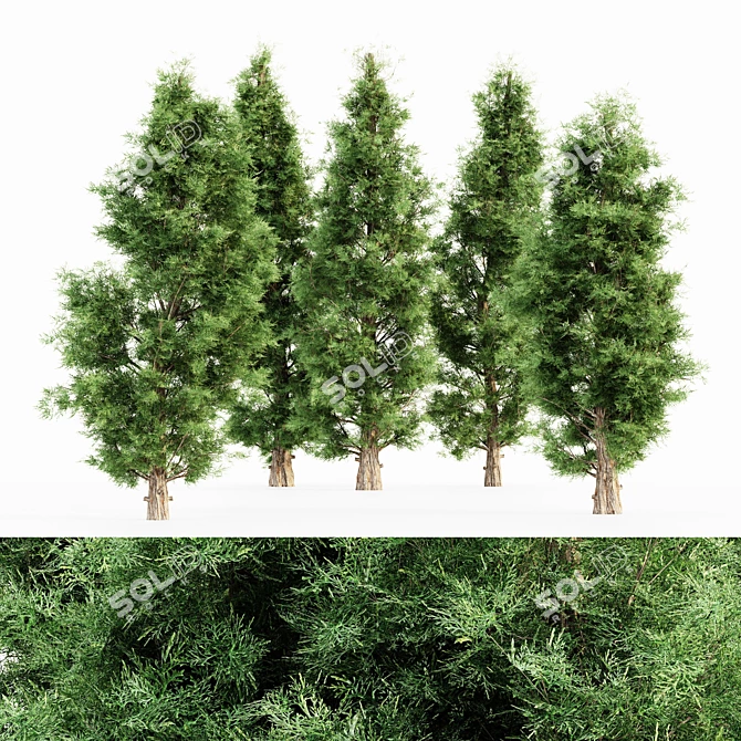 Evergreen Forest Majesty: Eastern Red Cedar Set 3D model image 1