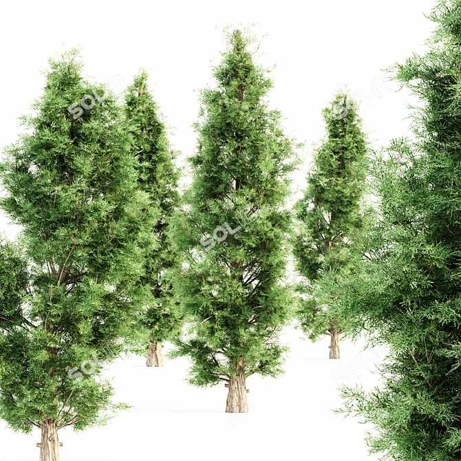 Evergreen Forest Majesty: Eastern Red Cedar Set 3D model image 2