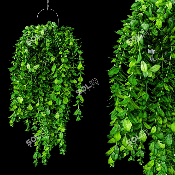 Vibrant Trailing Foliage Set 3D model image 3