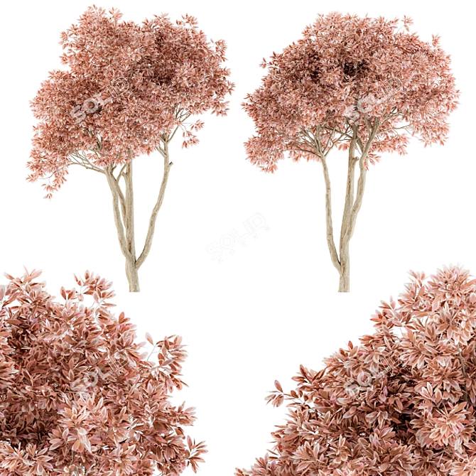 Pretty Pink Ficus Tree - Set 23
(Russian translation: Красивое розовое дерево Ф 3D model image 1