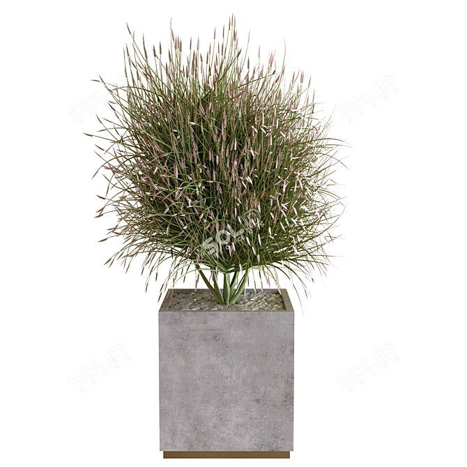 Greenery Box Set: 13 Plants 3D model image 1