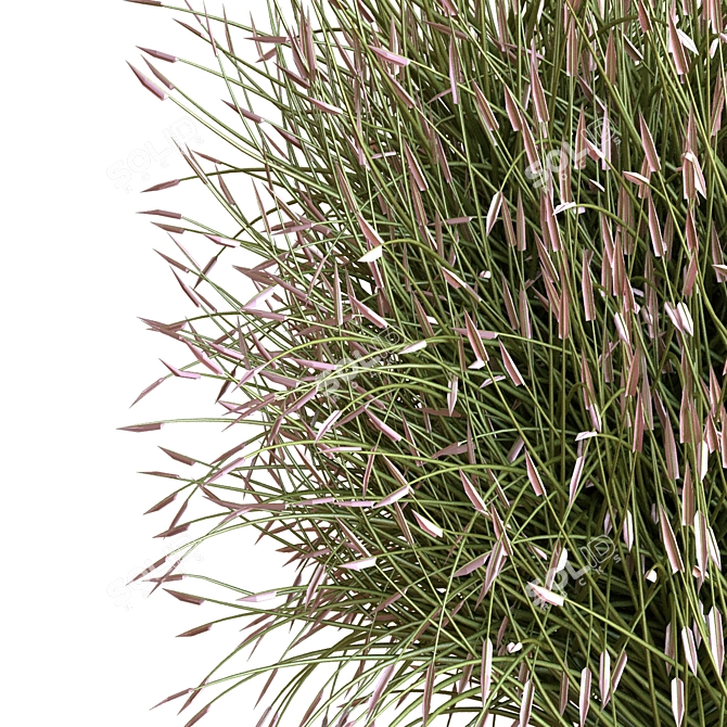Greenery Box Set: 13 Plants 3D model image 3