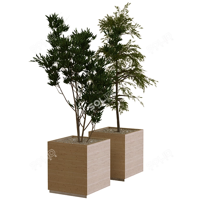 Nature's Delight: Boxed Tree Set 3D model image 2