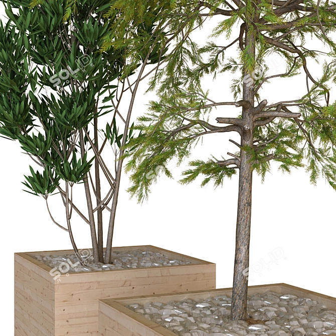 Nature's Delight: Boxed Tree Set 3D model image 3