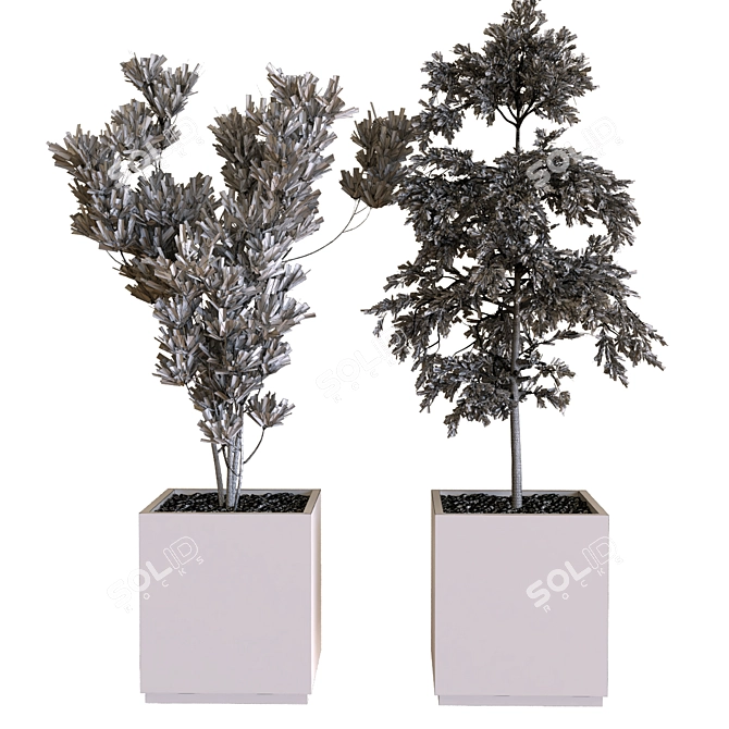 Nature's Delight: Boxed Tree Set 3D model image 4