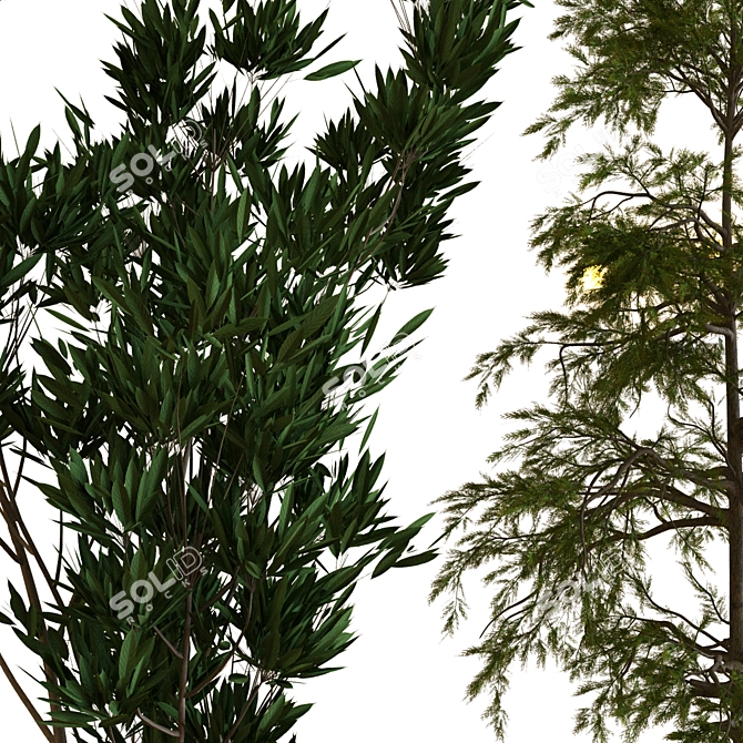 Nature's Delight: Boxed Tree Set 3D model image 5