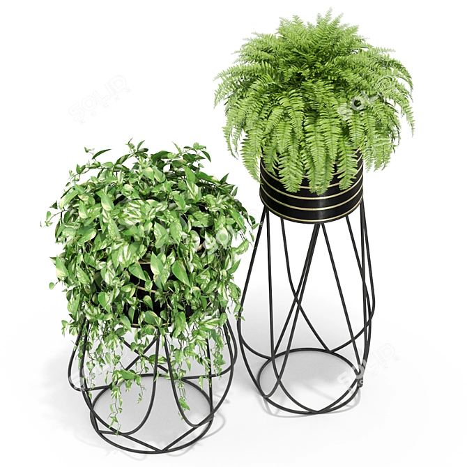 Green Oasis: Exquisite Plants Collection 3D model image 2