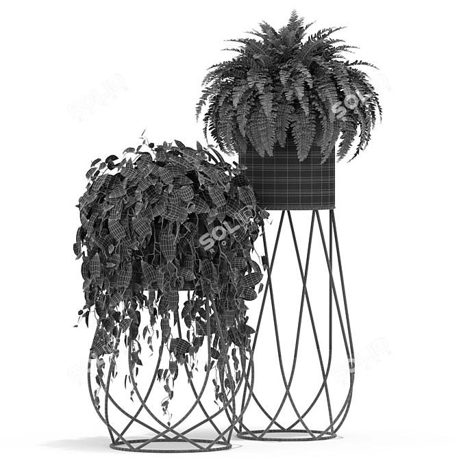 Green Oasis: Exquisite Plants Collection 3D model image 3