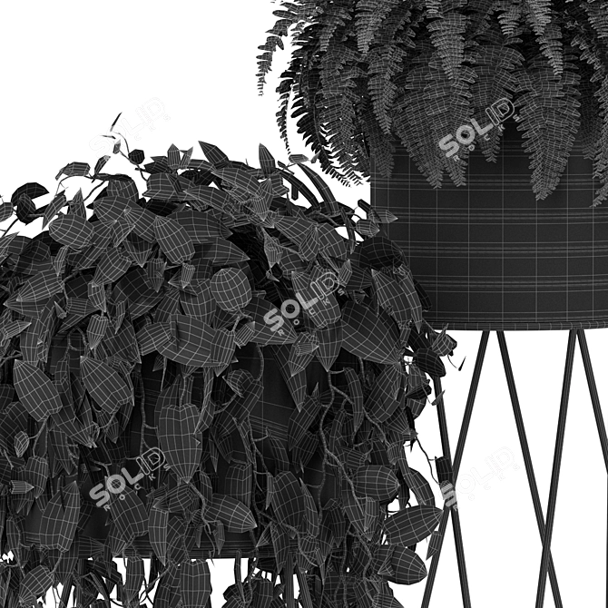 Green Oasis: Exquisite Plants Collection 3D model image 4