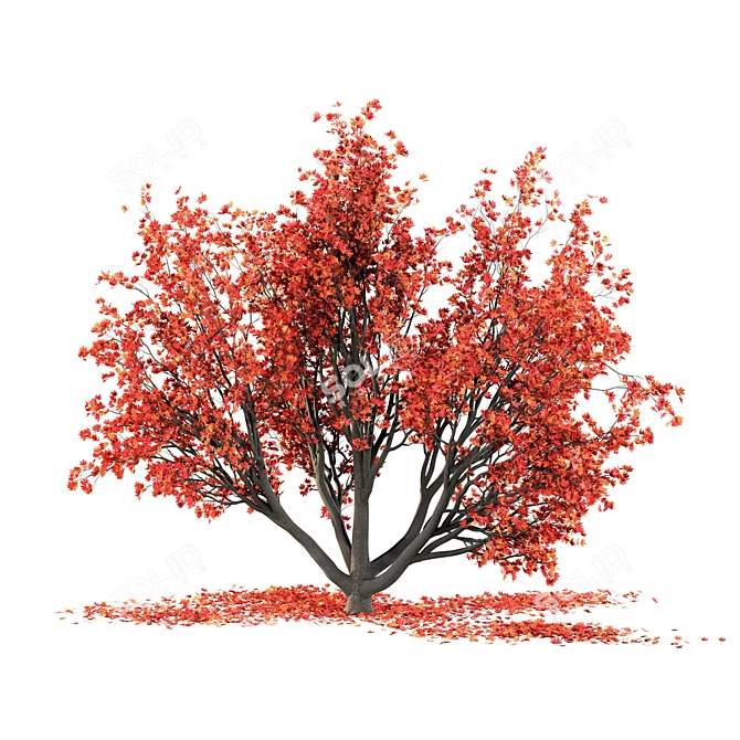 Autumn Winter Maple Tree 3D model image 4
