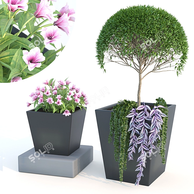 Nature's Oasis: Outdoor Plant 3D model image 1