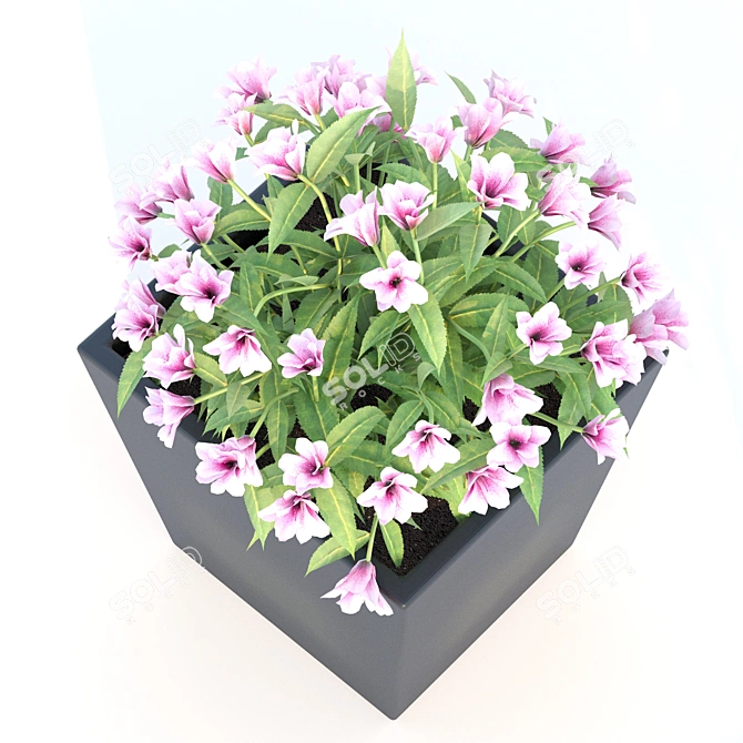 Nature's Oasis: Outdoor Plant 3D model image 2