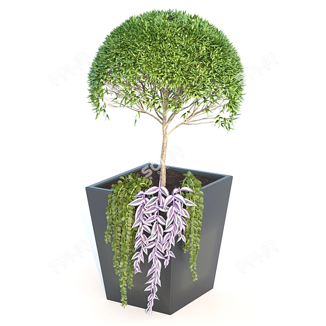 Nature's Oasis: Outdoor Plant 3D model image 3