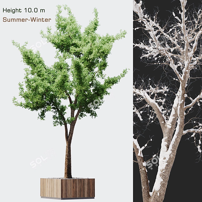 Versatile Dual-Season Tree 3D model image 1