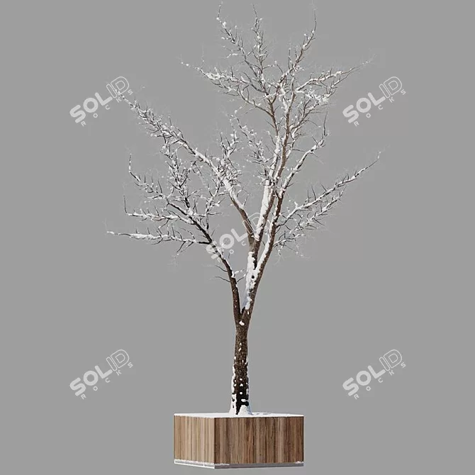 Versatile Dual-Season Tree 3D model image 3