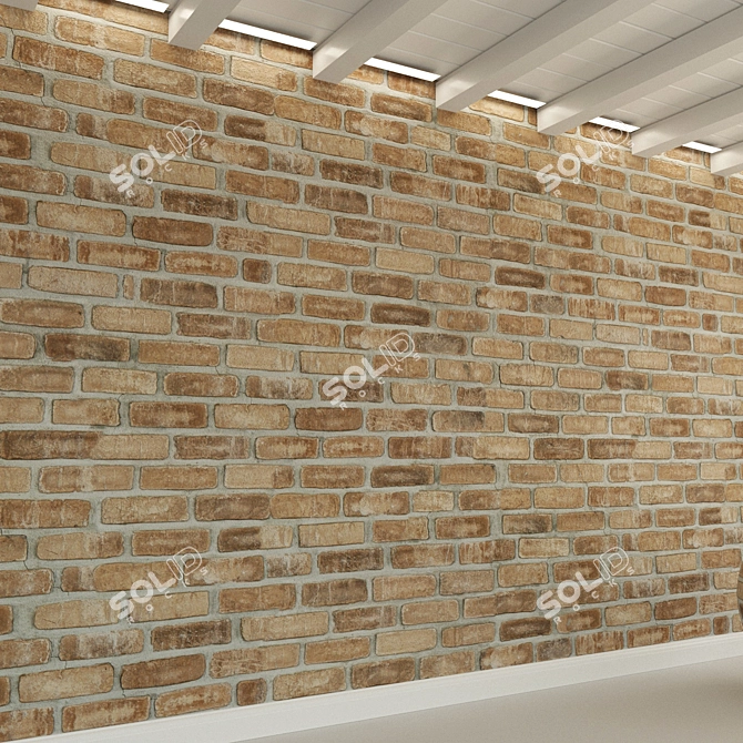 Vintage Brick Wall Texture 3D model image 3