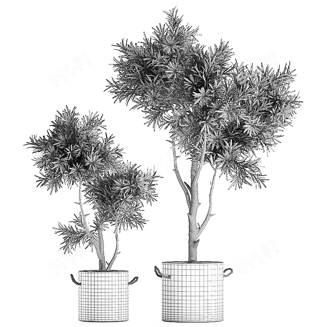 Tropical Decorative Tree - Black Vase 3D model image 5