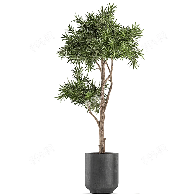 Tropical Plant Collection 3D model image 3