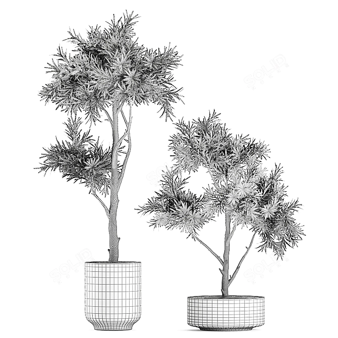 Tropical Plant Collection 3D model image 5