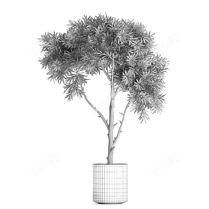 Exotic Tropical Plant Collection 3D model image 5