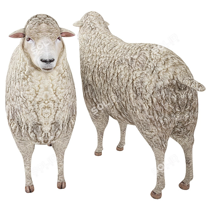 Premium Sheep: 2k Textures & Lifelike Details 3D model image 2