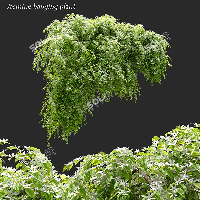 Exquisite Jasmine Hanging Plant 3D model image 1