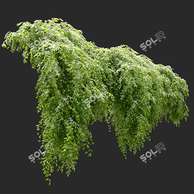 Exquisite Jasmine Hanging Plant 3D model image 3