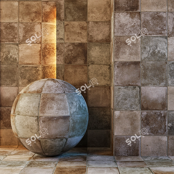 Rustic Reflections: Seamless Map 3D model image 2