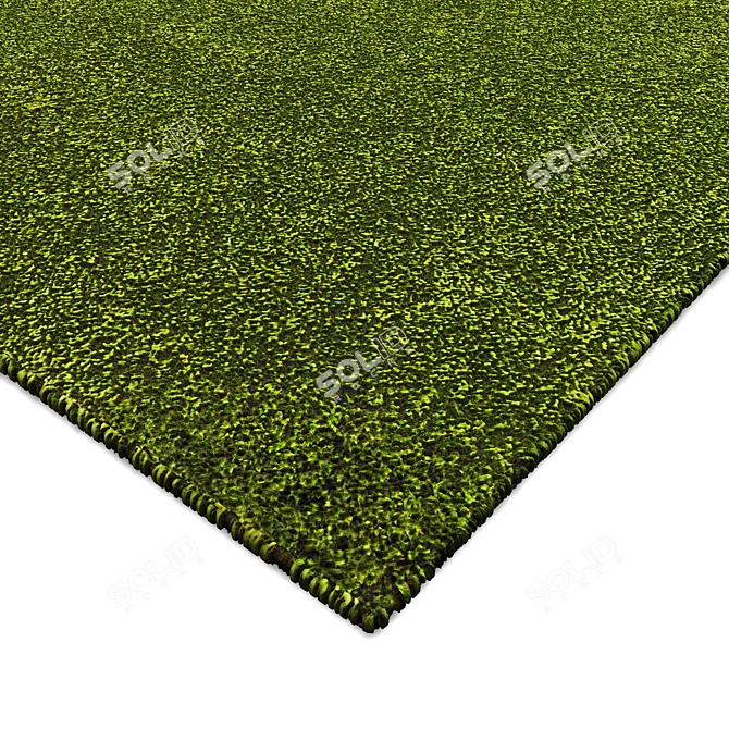 Elegant Interior Carpets 3D model image 2