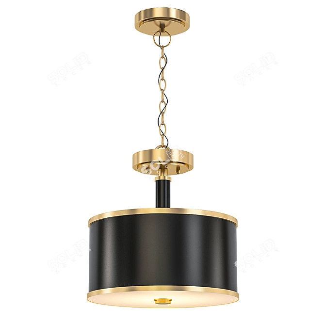 Elegant Convertible Pendant Light 3D model image 1