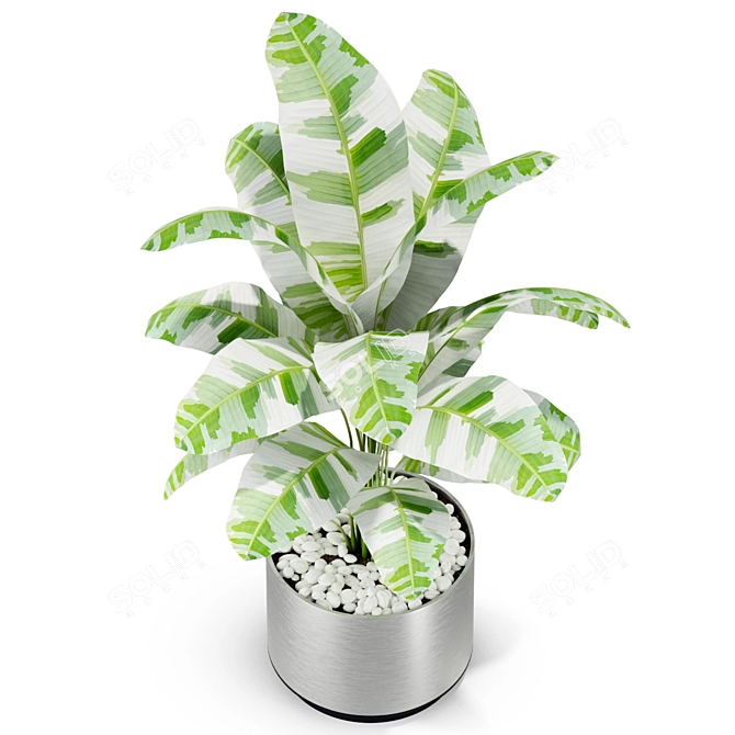  Botanical Bliss: Nature's Green Haven 3D model image 2