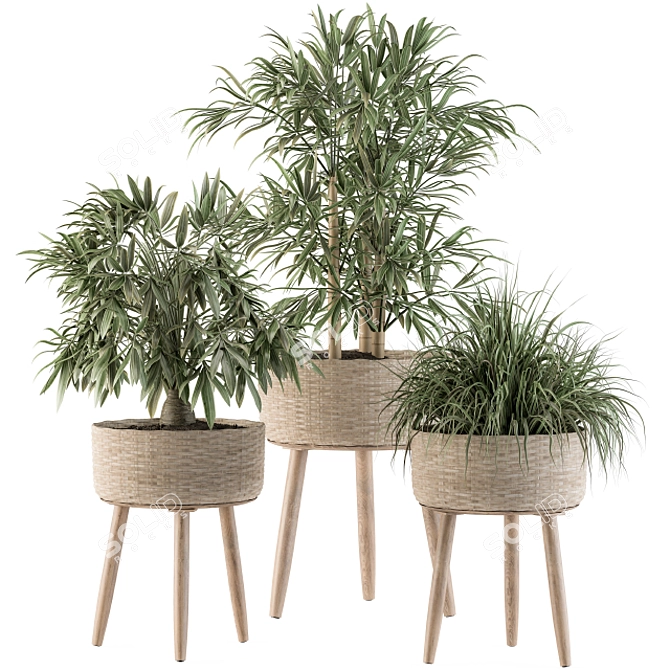 Tropical Oasis: Palm in Mat Pot 3D model image 1