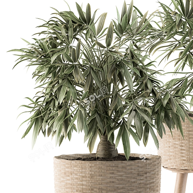 Tropical Oasis: Palm in Mat Pot 3D model image 2