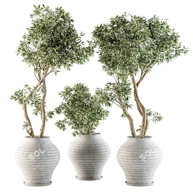 Concrete Pot Outdoor Plant Set 3D model image 1