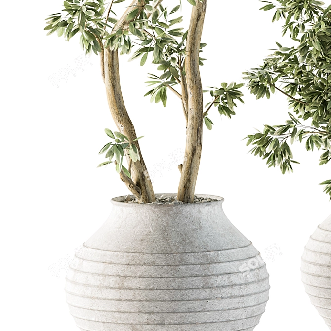 Concrete Pot Outdoor Plant Set 3D model image 3