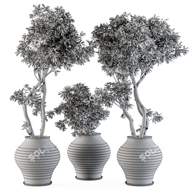 Concrete Pot Outdoor Plant Set 3D model image 4