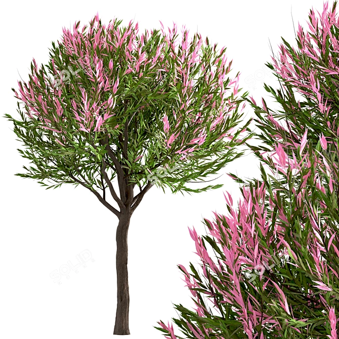  Vibrant Set of Dappled Willow Trees (3-Pack) 3D model image 5